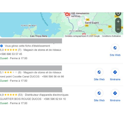 SEO local example 2